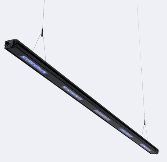 Edge 63