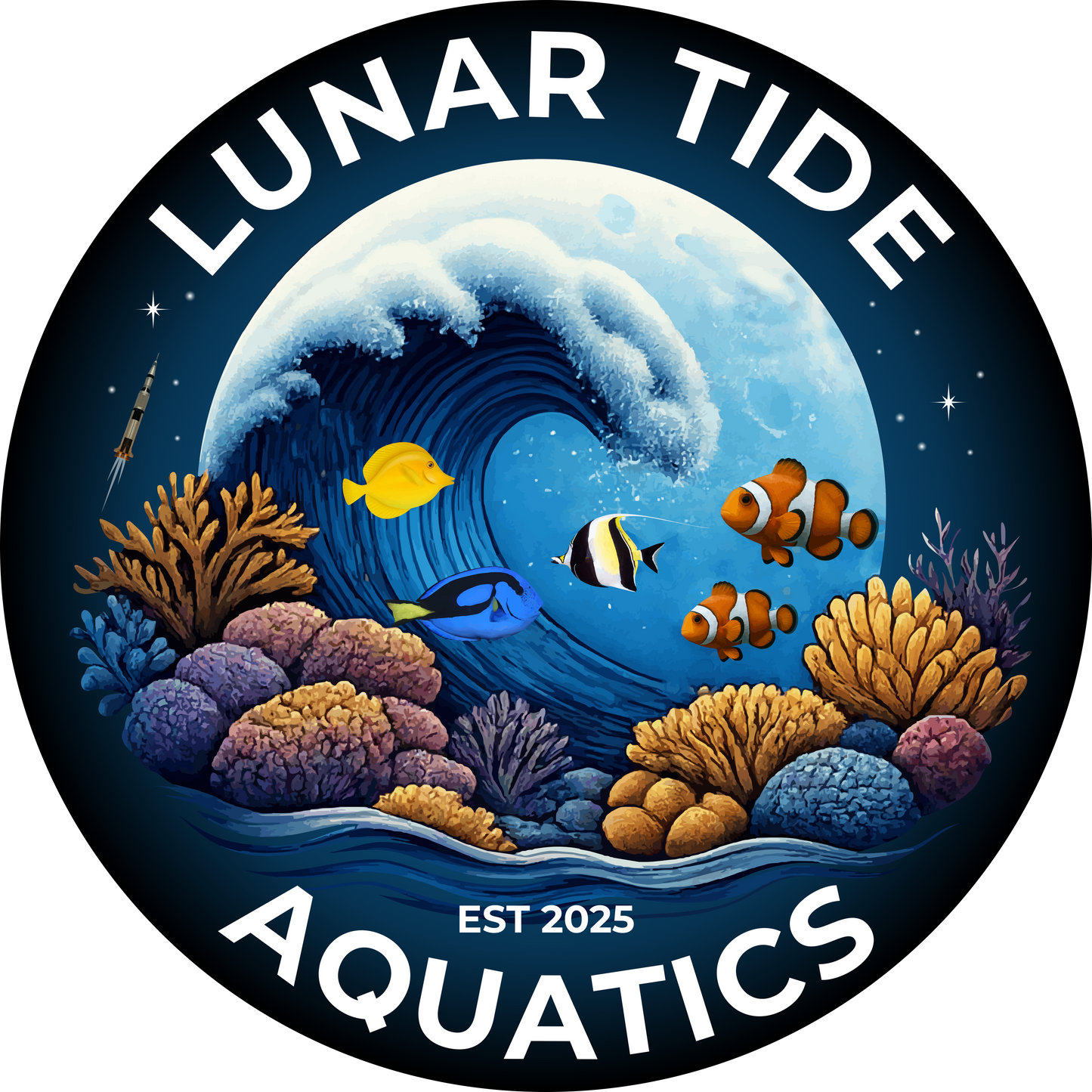 Purple Passion Bubble Tip Anemone