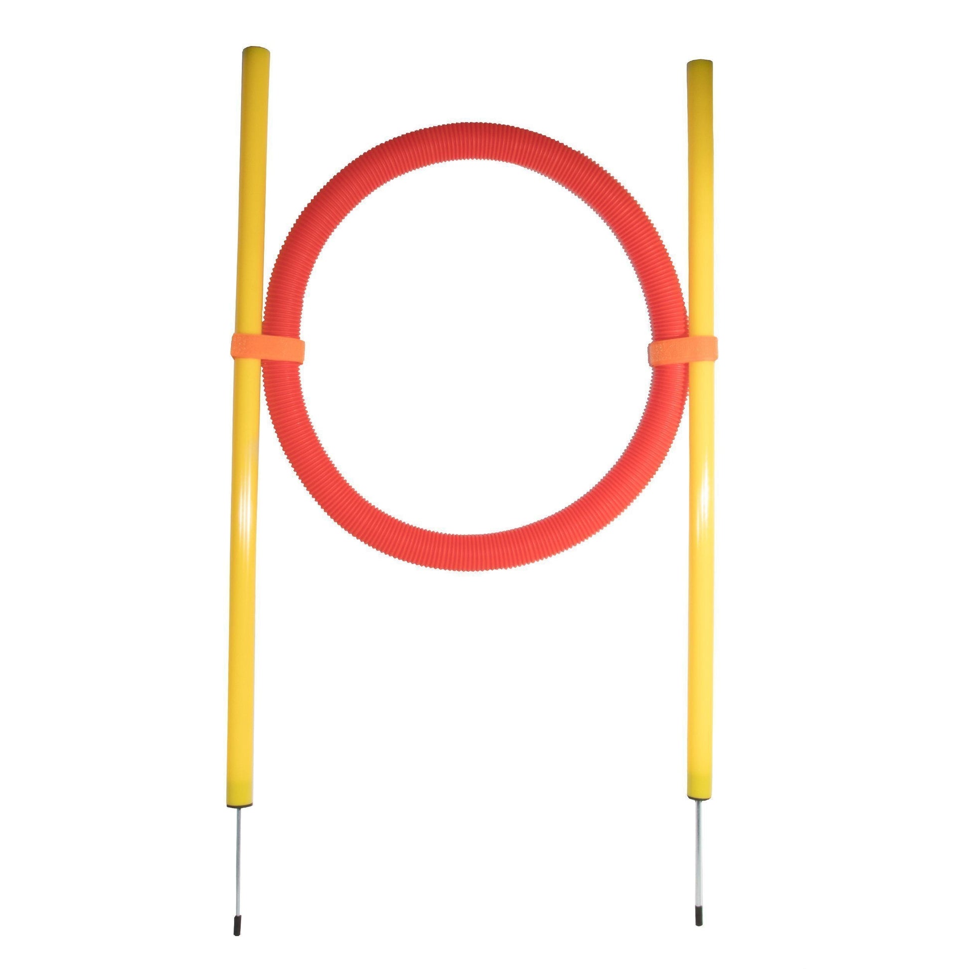 Pet Life ® 'Hoop Hopper' Collapsible Travel Folding Outdoor Performance Agility Pet Dog Trainer Training Kit