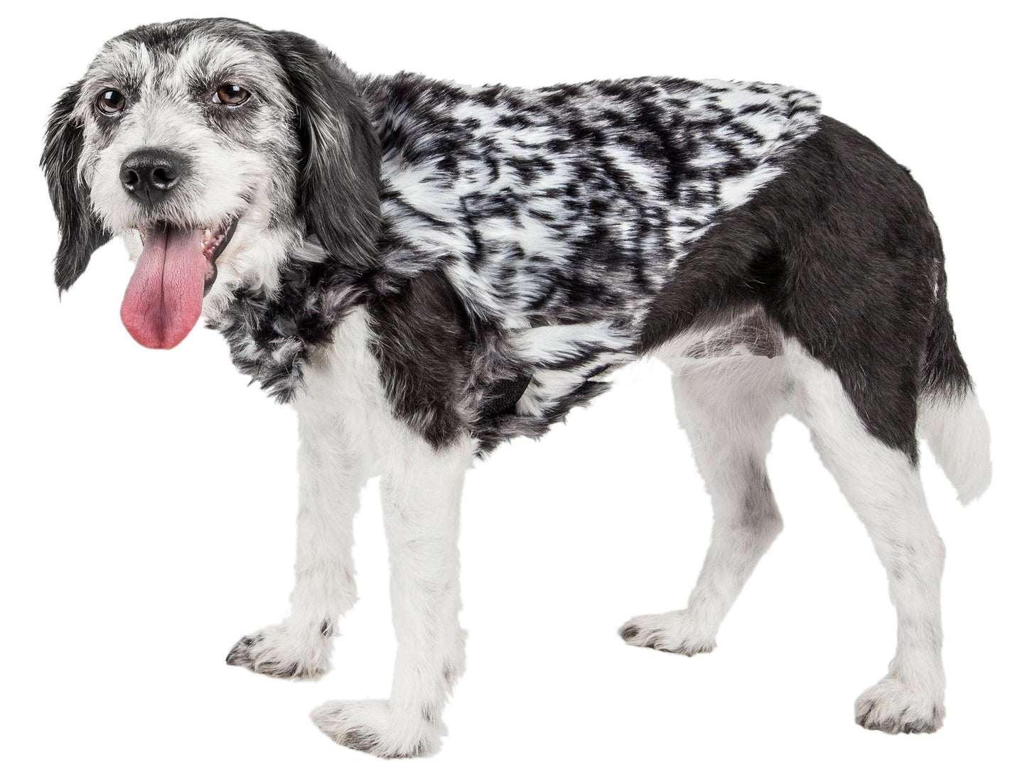 Pet Life ®  Luxe 'Paw Dropping' Designer Gray-Scale Tiger Pattern Mink Fur Dog Coat