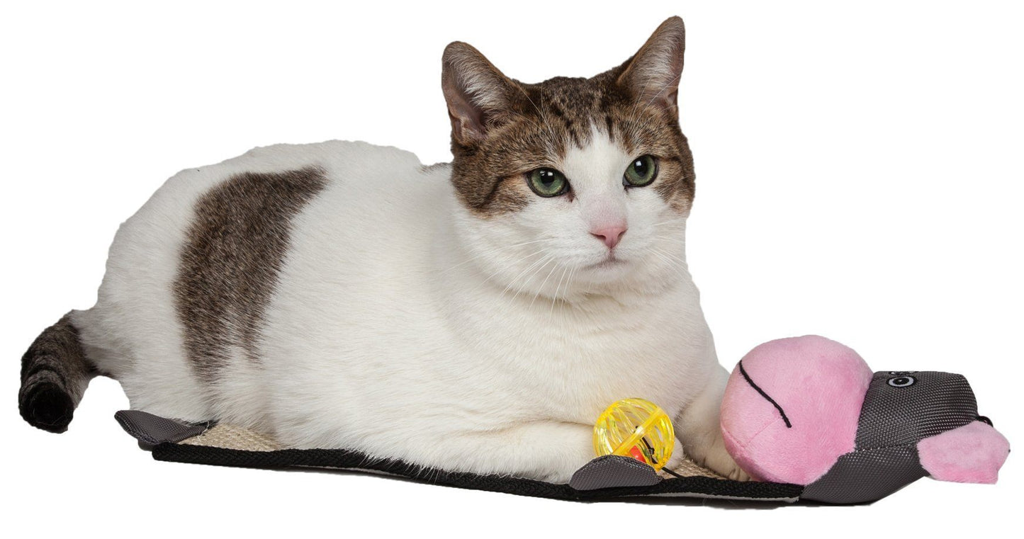Pet Life ® 'Paw-Pleasant' Hanging Sisal & Jute Carpet Kitty Cat Scratcher with Toy