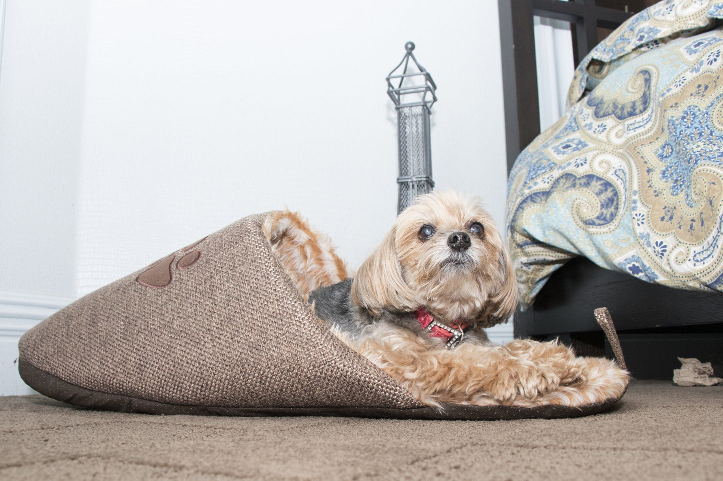 Pet Life ® 'Slip-On' Fashion Designer Polar Fleece Animated Slipper Pet Dog Bed House Shoes